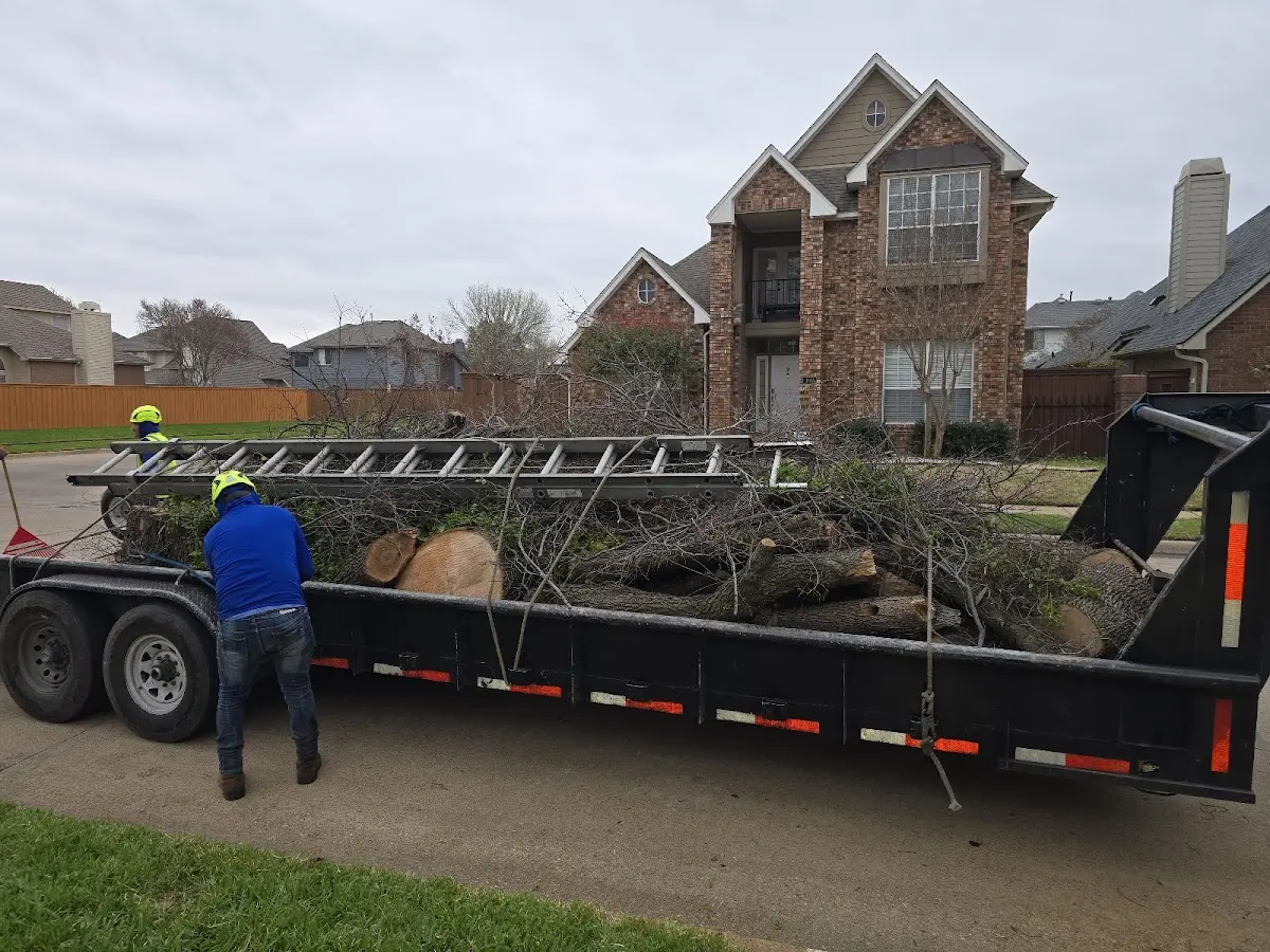 Expert Tree Removal with proper safety equipment in Stump Creek